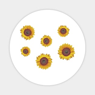 Sunflower Sticker Pack Magnet